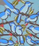 Blue Chickadees