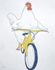 The Bike Rider