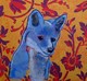 Little Blue Fox II