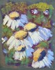 Daisies