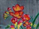 Red Freesias