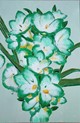 Green Freesias