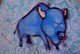 Lil' Blue Buffalo