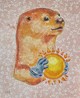 Peach Otter