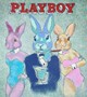 Playboy