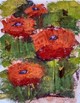 Poppies