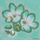 Small green Freesias