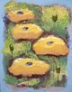 Yellow Poppies